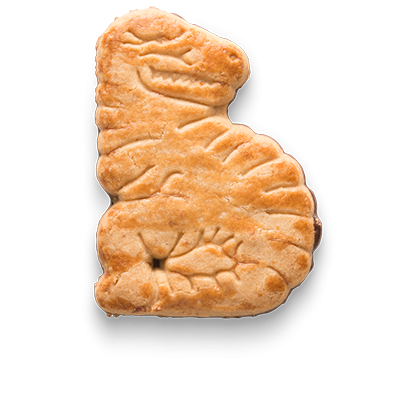 Dinosaurus biscuits hotsell